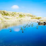 Waerholmen 公寓 *