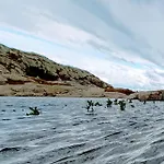 Waerholmen 公寓 Lavik (Sogn og Fjordane)